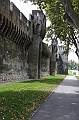 IMG_3970
