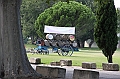 IMG_3971
