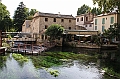 IMG_3978