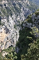 IMG_4100
