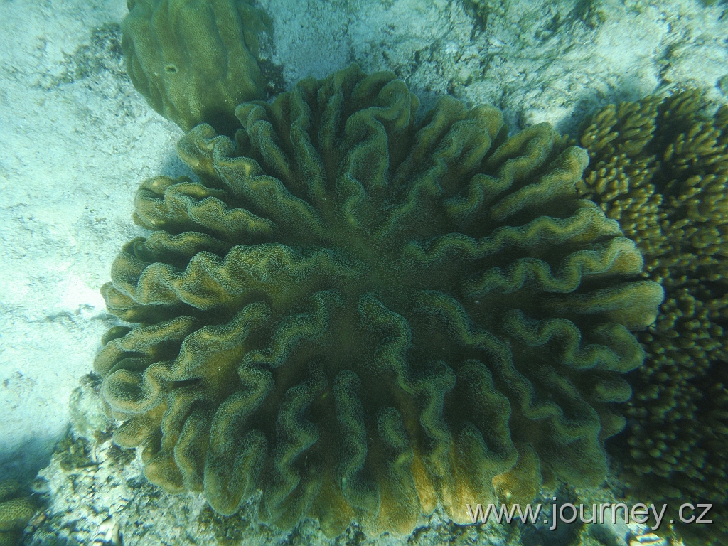 BOHOL3058.JPG