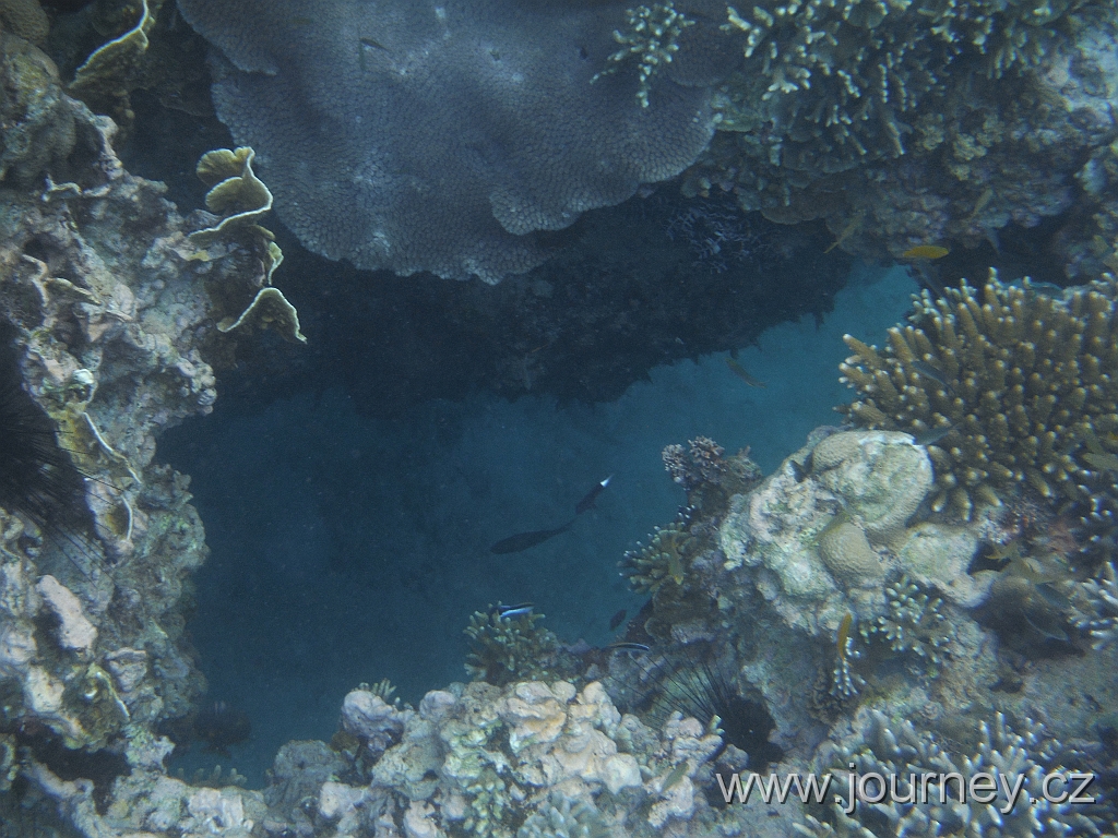 BOHOL3120.JPG