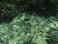 BOHOL2961