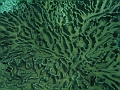 BOHOL2971