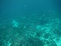 BOHOL2972