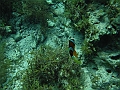 BOHOL2998