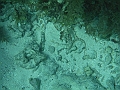 BOHOL3001