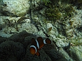 BOHOL3043