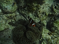 BOHOL3049