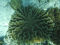 BOHOL3058