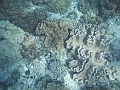 BOHOL3076