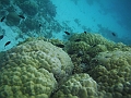 BOHOL3112