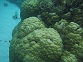 BOHOL3113