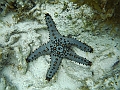 BOHOL3151