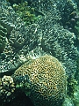 SIQUIJOR3388