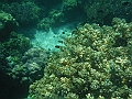 SIQUIJOR3391