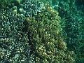 SIQUIJOR3398
