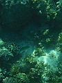 SIQUIJOR3401