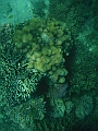 SIQUIJOR3403