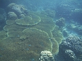 SIQUIJOR3413