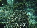 SIQUIJOR3415