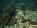 SIQUIJOR3421