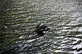 IMG_4326