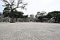 IMG_4339