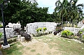 IMG_4347