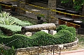 IMG_4349