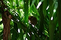 IMG_4384