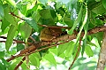IMG_4385