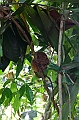 IMG_4386