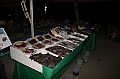 IMG_4398