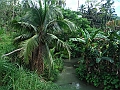 IMG_4418