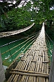 IMG_4419