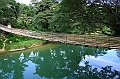 IMG_4421