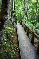 IMG_4425