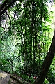 IMG_4427