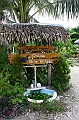 IMG_4461