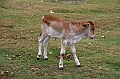 IMG_4470