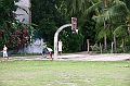 IMG_4471