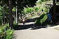 IMG_4473