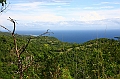 IMG_4475