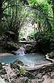 IMG_4478