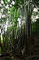 IMG_4485