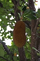 IMG_4490
