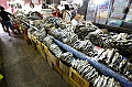IMG_4498