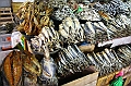 IMG_4502