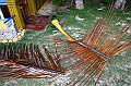 IMG_4568